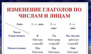 Местоимения третьего лица в русском языке: правила, примеры